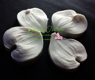 Dogwood Petal Veiner Set Large By Simply Nature Botanically Correct Products®